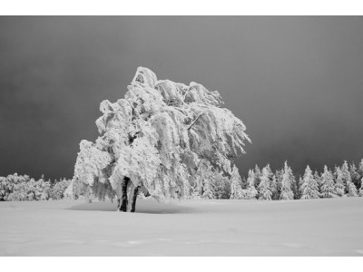 The Bay Canada: 50% Off Women's Cold Weather Accessories