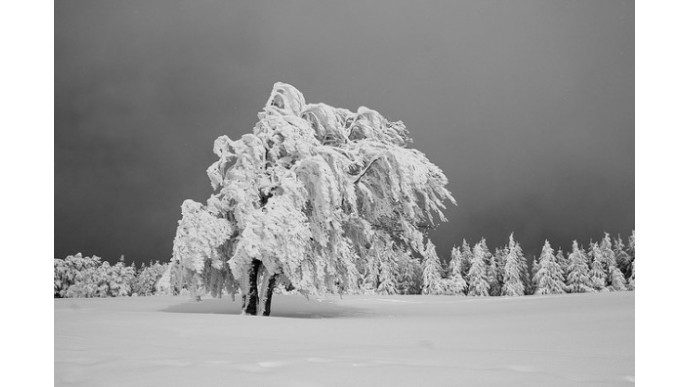 The Bay Canada: 50% Off Women's Cold Weather Accessories