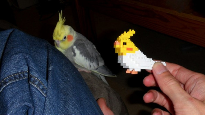 Sears Canada: 60% Off NanoBlocks