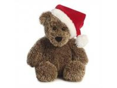 Chapters Canada Boxing Day Sale: Holiday Trevor Bear was $23 now $12