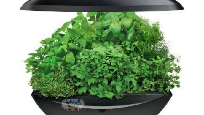 Amazon Canada: AeroGarden With Gourmet Seed Kit Only $130