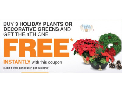 Home Depot Canada: Buy 3 Get 1 Free Holiday Plants Or Decorative Greens (printable)