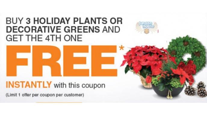 Home Depot Canada: Buy 3 Get 1 Free Holiday Plants Or Decorative Greens (printable)