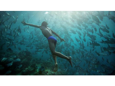 Amazon Canada: Human Planet The Complete Series Was $49.98 | Now $14.99