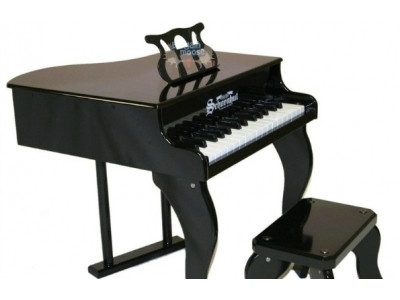All Star Learning Canada: Baby Grand Piano $160 & Free Shipping 