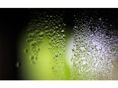 Well.ca: 40% Off Sunbeam Cool Mist Humidifier - Now $48 