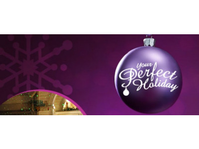 The Shopping Channel: Up to 66% Off Holiday Decor