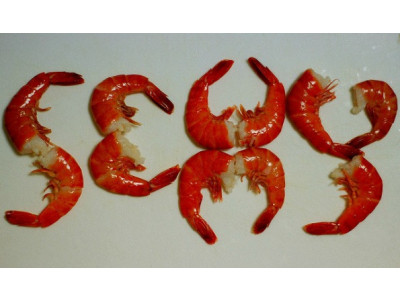 Chapters Canada: Spicy Reads Only $4.99 