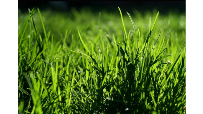 Lowes Canada: Black & Decker Trimmer & Blower Set $79 (Save $30)