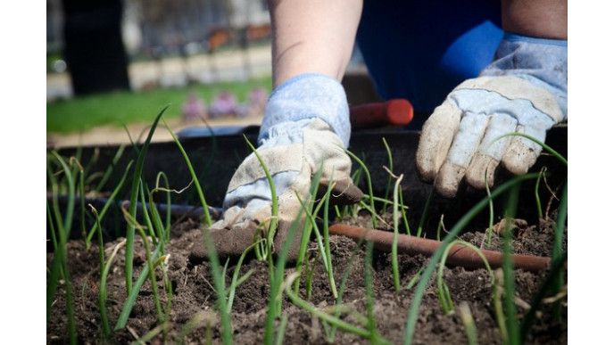Amazon Canada: Up To 75% Off Gardening & Summer Items