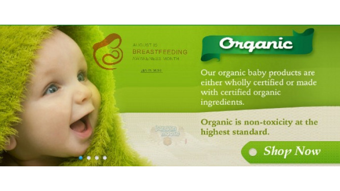 BabyOrganicJoy.ca 