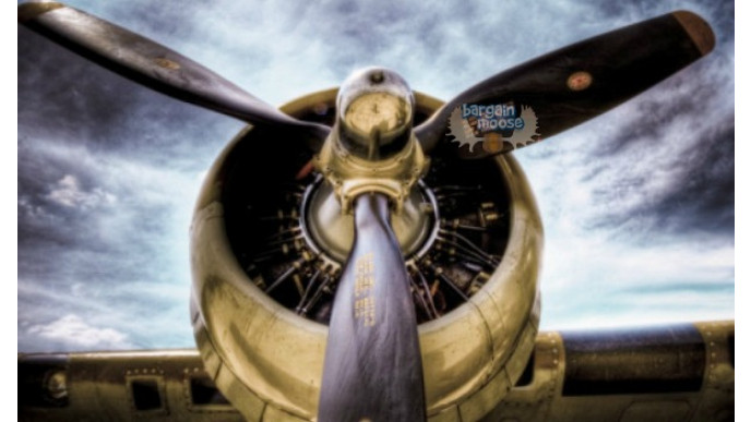 AllPosters Canada Promo Code: 30% Off Everything 