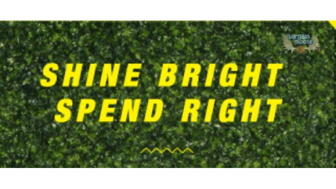 Aldo Canada: $35 Sandals & Totes