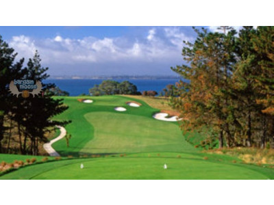 Costco Canada: 2 x $50 WayGolf E-Certificates For $79