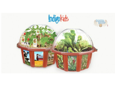 Chapters Canada: 20% Off Dunecraft Terrariums