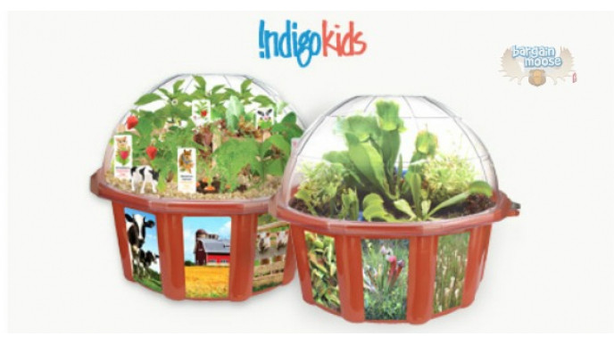 Chapters Canada: 20% Off Dunecraft Terrariums