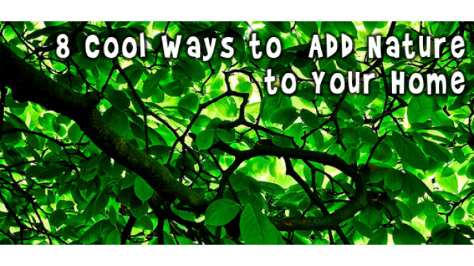 8 Cool Ways to Add Nature to Your Home