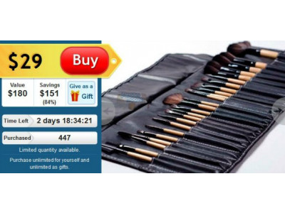 Dealfind Canada: $29 For 24-Piece Professional Make-up Brush Set ($180 Value)