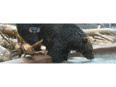 Free and Discounted March Break Ideas For Manitoba & Saskatchewan