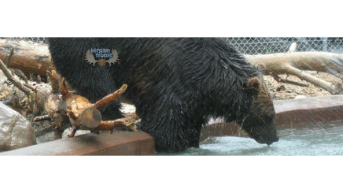 Free and Discounted March Break Ideas For Manitoba & Saskatchewan