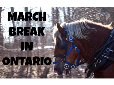 Free & Discounted Ideas 