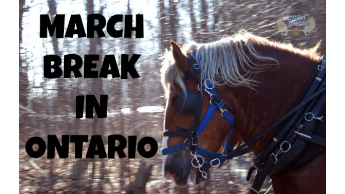 Discounted & Free Ideas For What To Do On March Break In Ontario