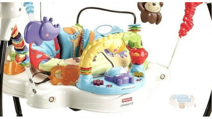 Amazon Canada: Fisher Price Luv U Zoo Jumperoo Was $120 | Now $66