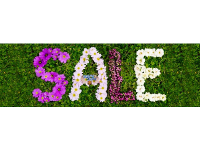 Chapters Canada: 50% Off Valentine's Day Items