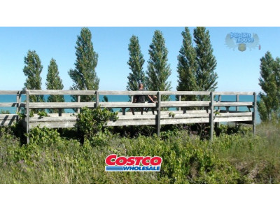 Costco.ca: 4x6 Prints For Only 8 Cents