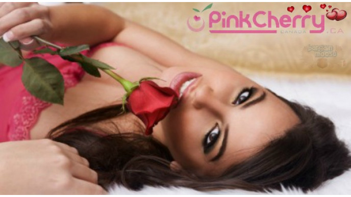 Pink Cherry Canada: Make Your Own Valentine's Gift Basket (NSFW)