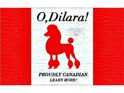 ShopDilara Coupon Code: Exclusive 15% Boxing Week Discount