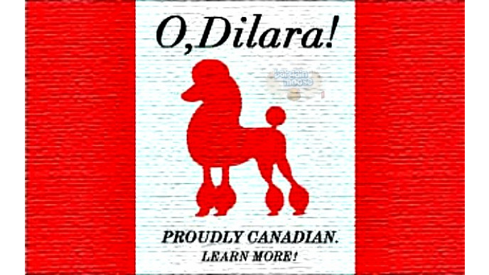 ShopDilara Coupon Code: Exclusive 15% Boxing Week Discount
