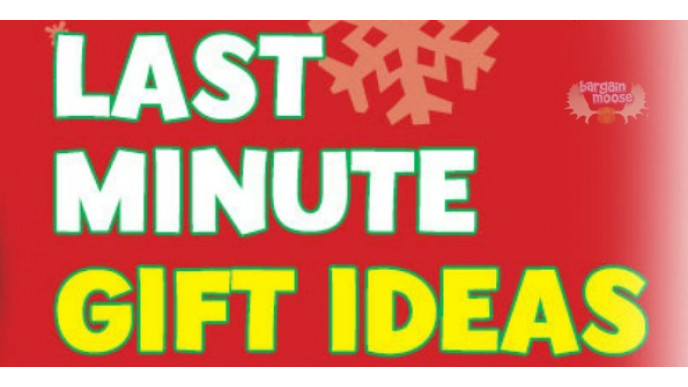 Toys R Us Canada: BOGO On Last Minute Gifts