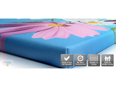 Best Canvas Canada: Save Up to 60% off