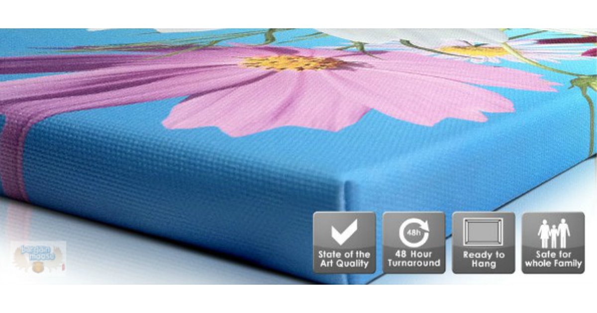 Best Canvas Canada Save Up to 60 off