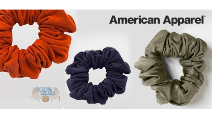 Teambuy Canada: $9 For 3 American Apparel Scrunchies