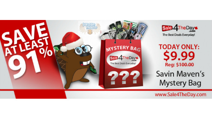 Sale4TheDay.ca: $100 Mystery Bag for $10!