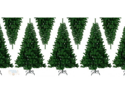 Teambuy: 50% Off a Christmas Tree