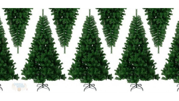 Teambuy: 50% Off a Christmas Tree