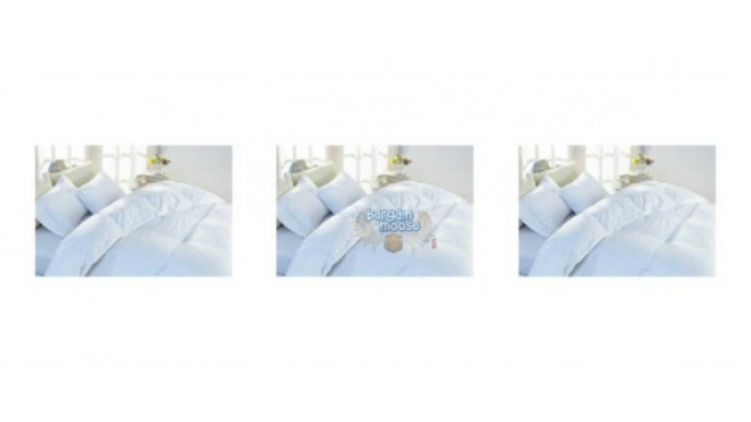 Costco Canada King Size Sealy White Goose Down Duvet 179 99
