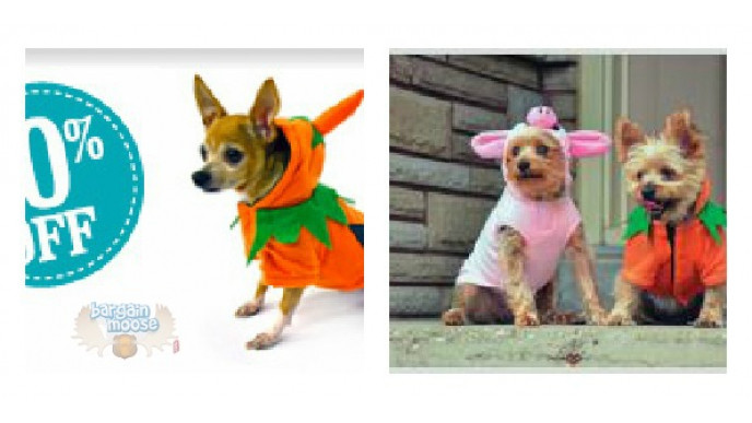 Pet Valu Canada Printable Coupon Or Coupon Code: 10% Off Halloween Costumes