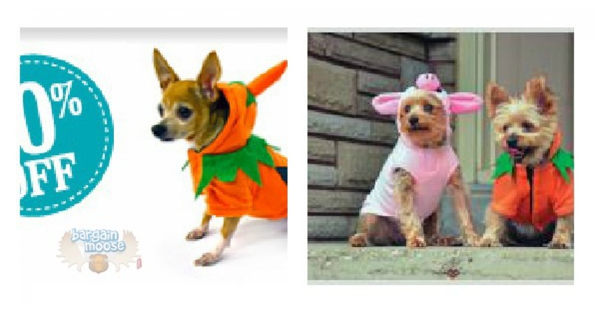 Pet Valu Canada Printable Coupon Or Coupon Code 10 Off Halloween Costumes