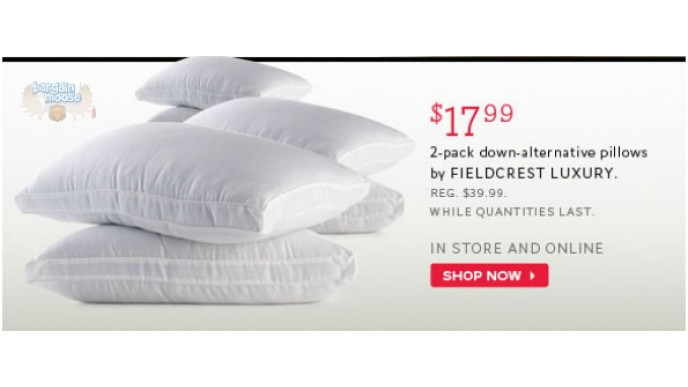 fieldcrest luxury pillow