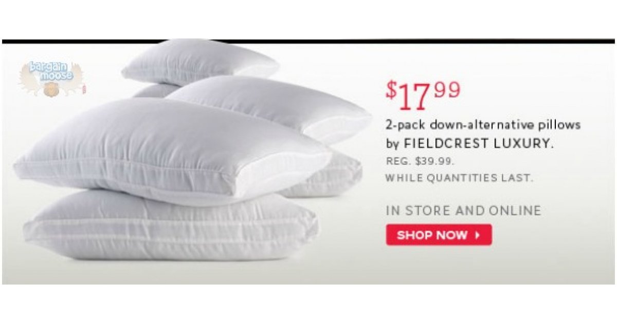 The Bay Canada 2pack Fieldcrest Luxury Pillows 17.99 (Was 39.99)