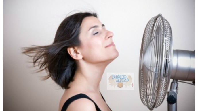 DIY "Air Conditioning" System