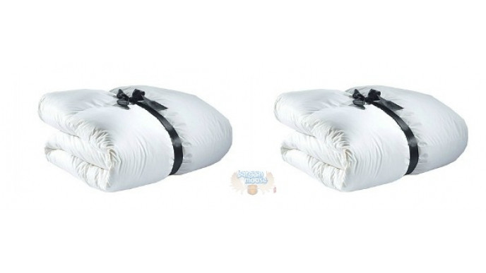 The Bay Canada: Gluckstein European Down Duvet - Queen $120 (Was $425)