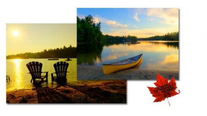 HomeSav Canada: Save Big on Canadian Art