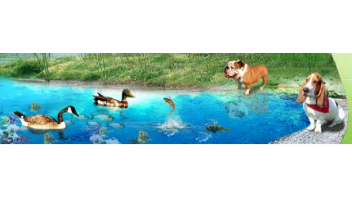 Pooch Canada Pet Supplies:  Wonderful Savings On Dog Toys And Accessories