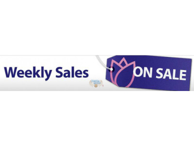 Well.ca Deals: Save up to 75% on Born Free, Cover Girl, Burt's Bees & more