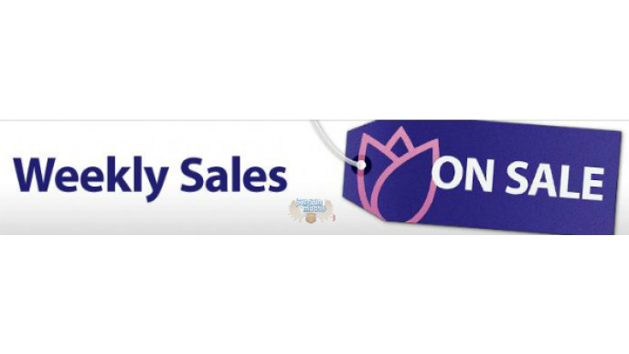 Well.ca Deals: Save up to 75% on Born Free, Cover Girl, Burt's Bees & more